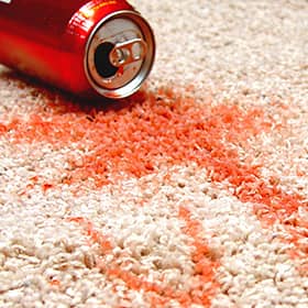 best carpet cleaning company